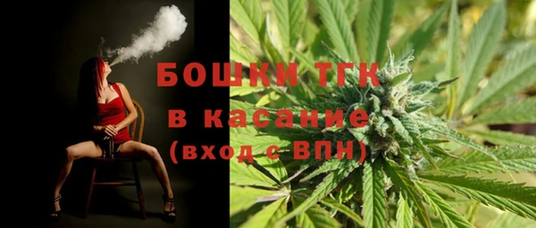 хмурый Заводоуковск